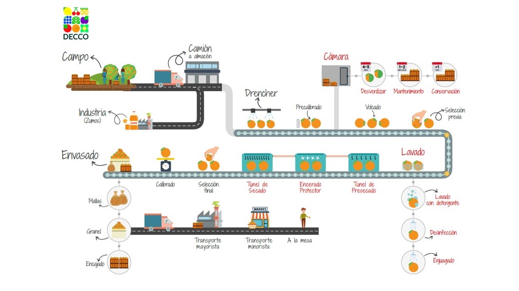 Prácticas poscosecha en agricultura ecológica.jpg